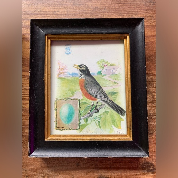 Shabby chic/vintage look Framed bird art - Picture 3 of 5